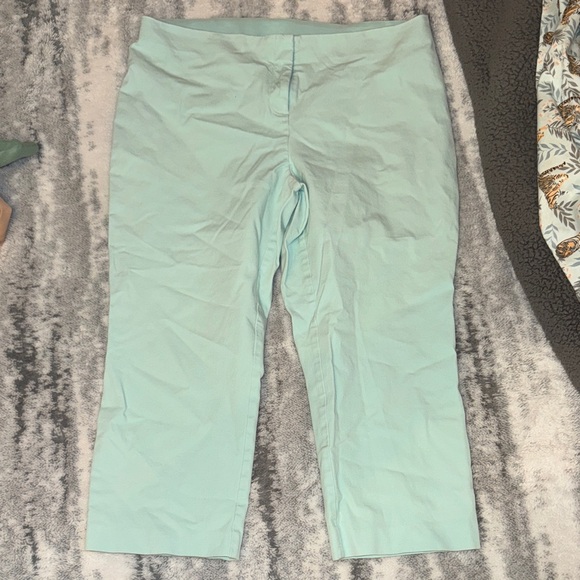 Alfani Pants - Alfani Women's Light Green Trousers